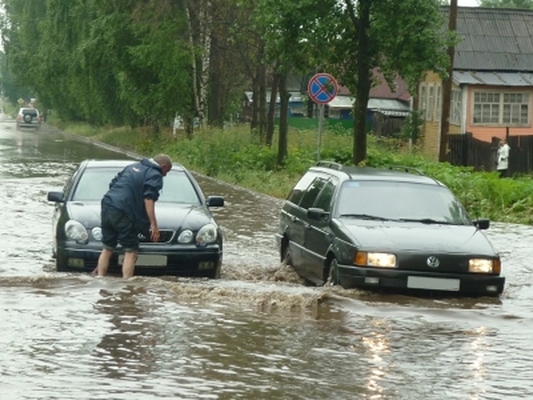 Заглох в луже